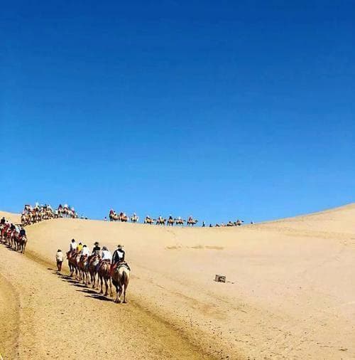 新疆西藏自驾游：全面安全准备与文化礼仪指南