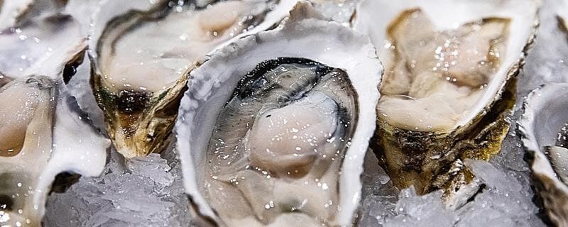 生蚝肉发绿是坏的吗？教你辨别生蚝品质与处理方法