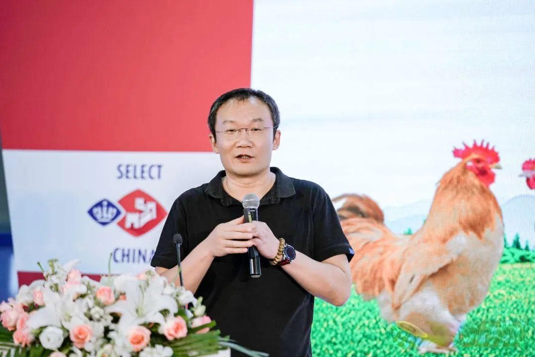 白羽肉鸡消费部分呈主粮化趋势 理论上其料肉比可达1.0