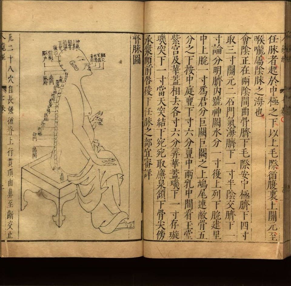 中医阴阳二十五行人