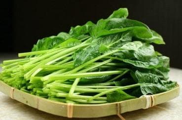 春日食养之——应季蔬菜
