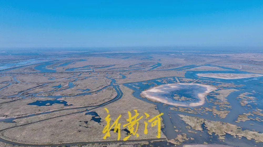 大河之洲，绘就壮美“生态画卷”