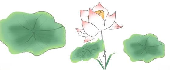 文学名著品读|鲁迅《朝花夕拾》
