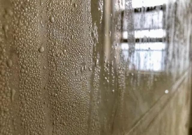 回南天墙壁发霉了怎么处理？这些方法帮你轻松应对
