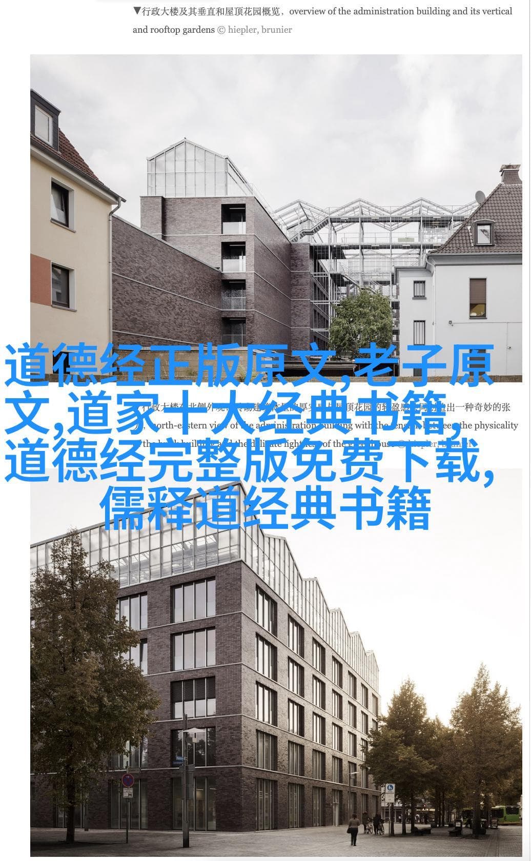 “无为而治”在企业管理中的可能与限度
