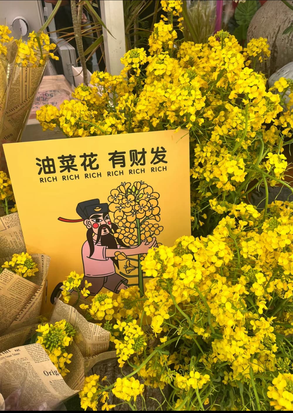 禁止“蕉绿”！当代上班族秒变办公室“农场主”