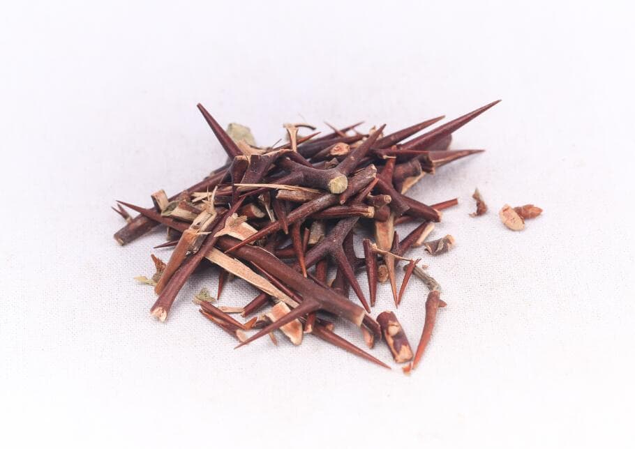 皂角刺：治疗痈疽疮毒的常用中药材，孕妇忌用