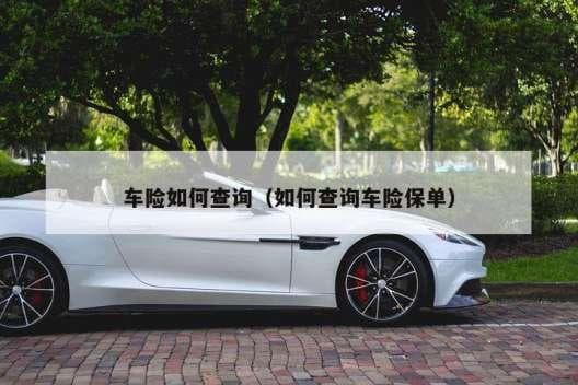 车险如何查询（如何查询车险保单）