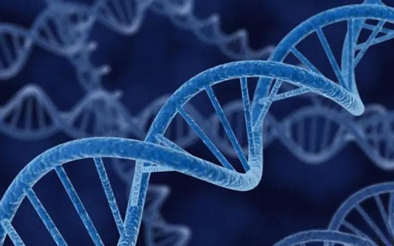 罗氏易位究竟要不要怀孕！致畸概率了解清楚后再做决定