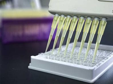 现在分子生物学的主流技术（主要技术）有哪些？