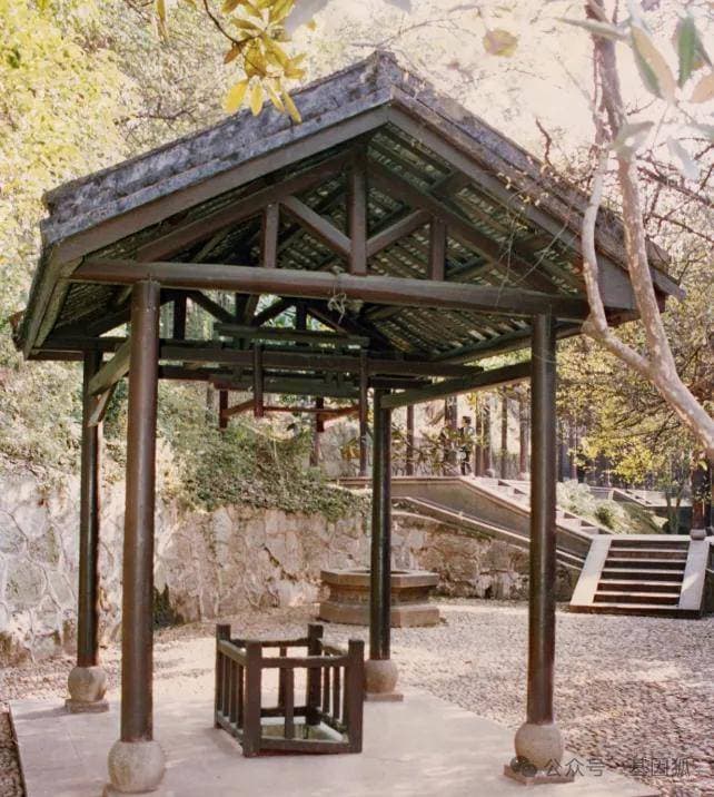 洗冷水澡，是“养生神器”还是“健康陷阱”？