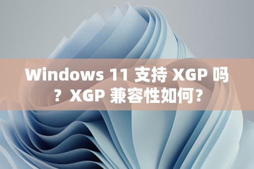 Windows 11 支持 XGP 吗？XGP 兼容性如何？