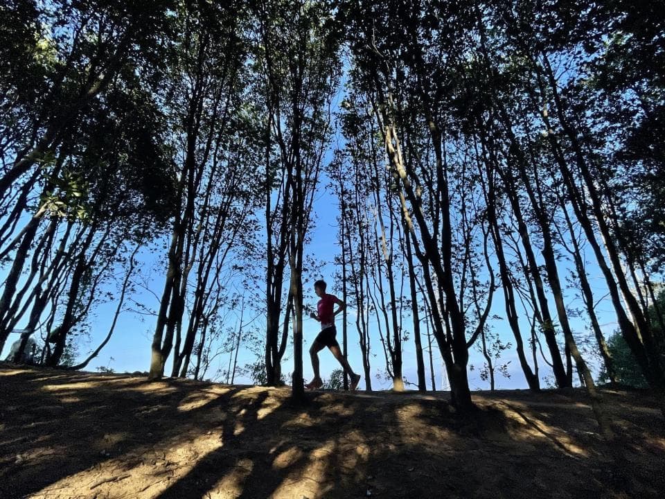 秋日登高伤膝盖？骨科专家：上山下山有技巧