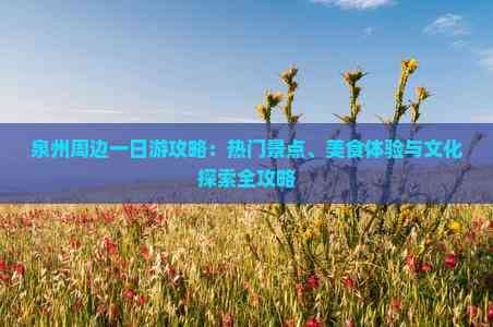 泉州周边一日游攻略：热门景点、美食体验与文化探索全攻略
