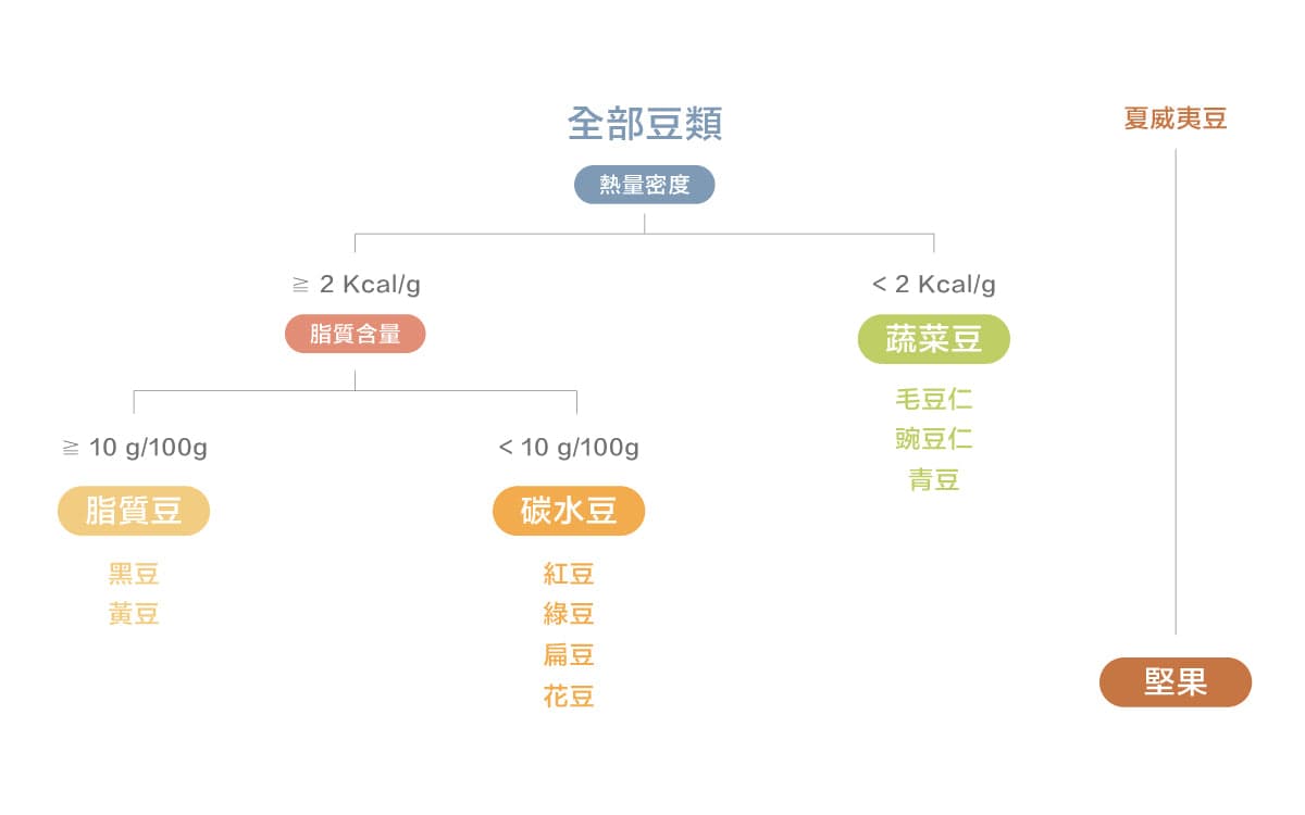 黑豆红豆毛豆仁，豆豆营养不相同
