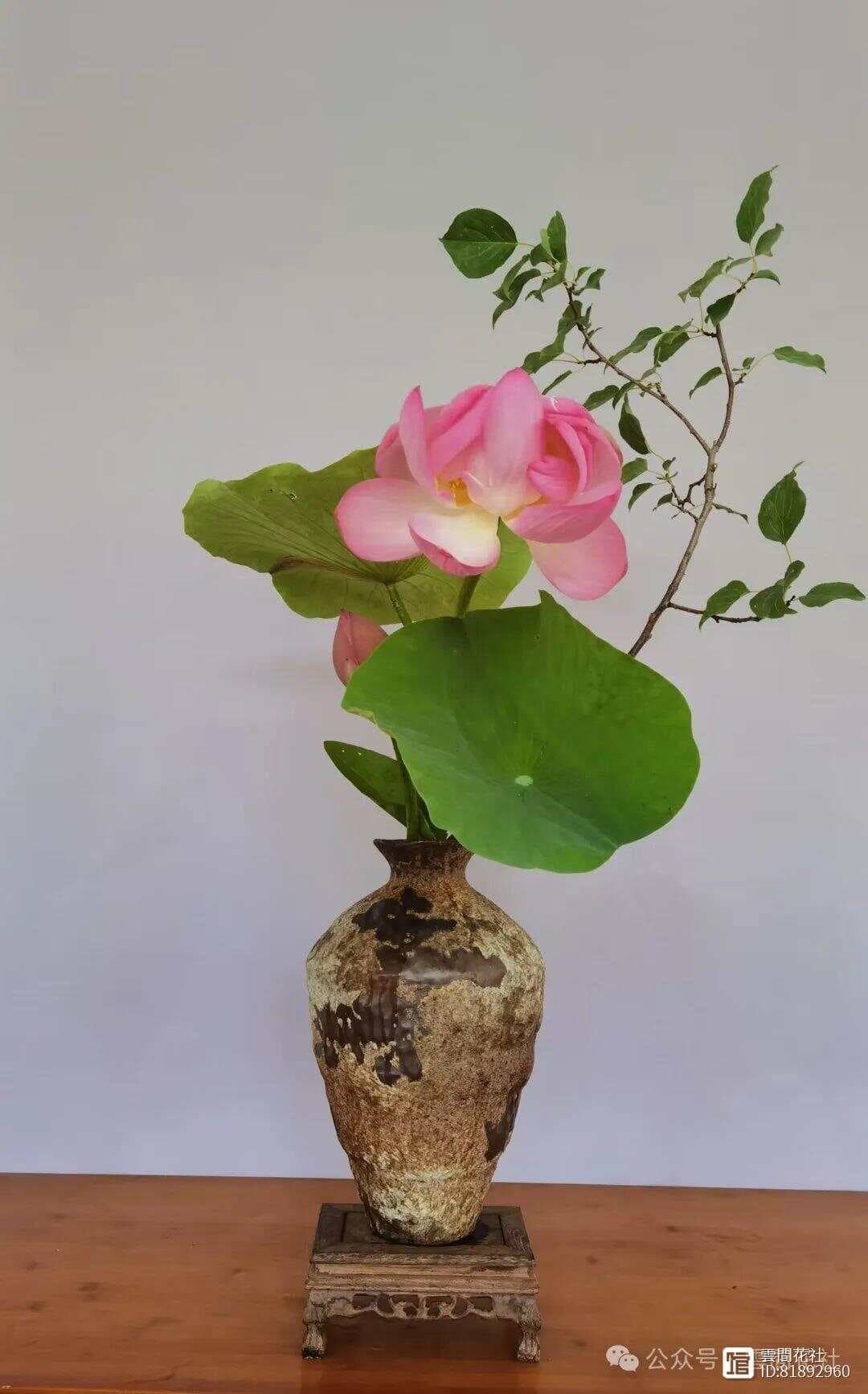 关于中国插花，许多人误解了