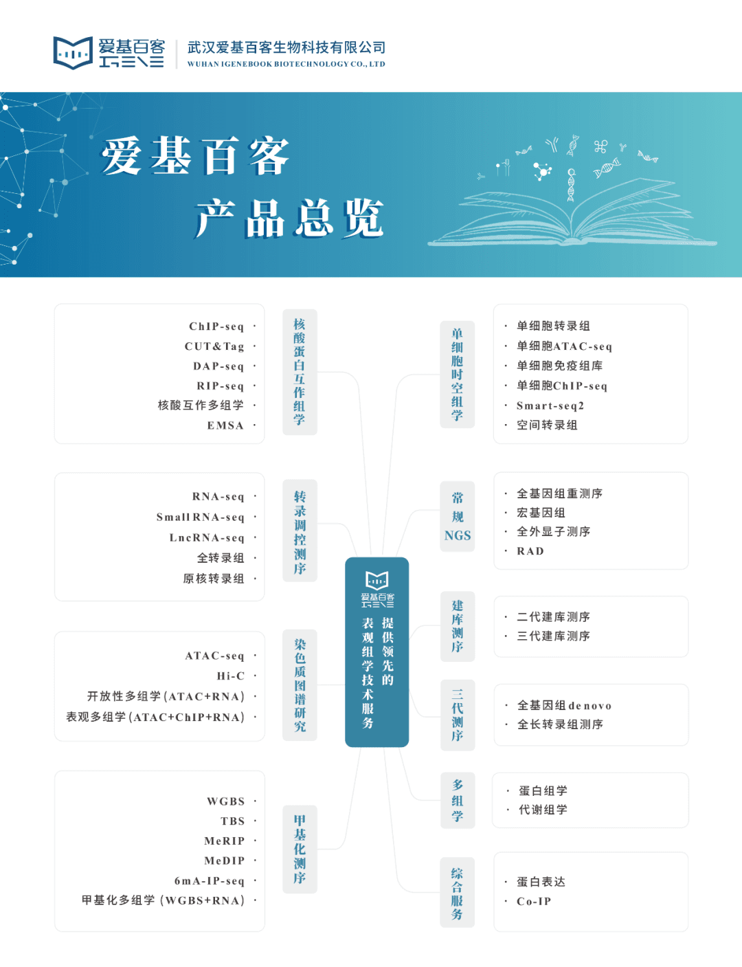 单基因甲基化检测技术：五种主流方法的原理与应用