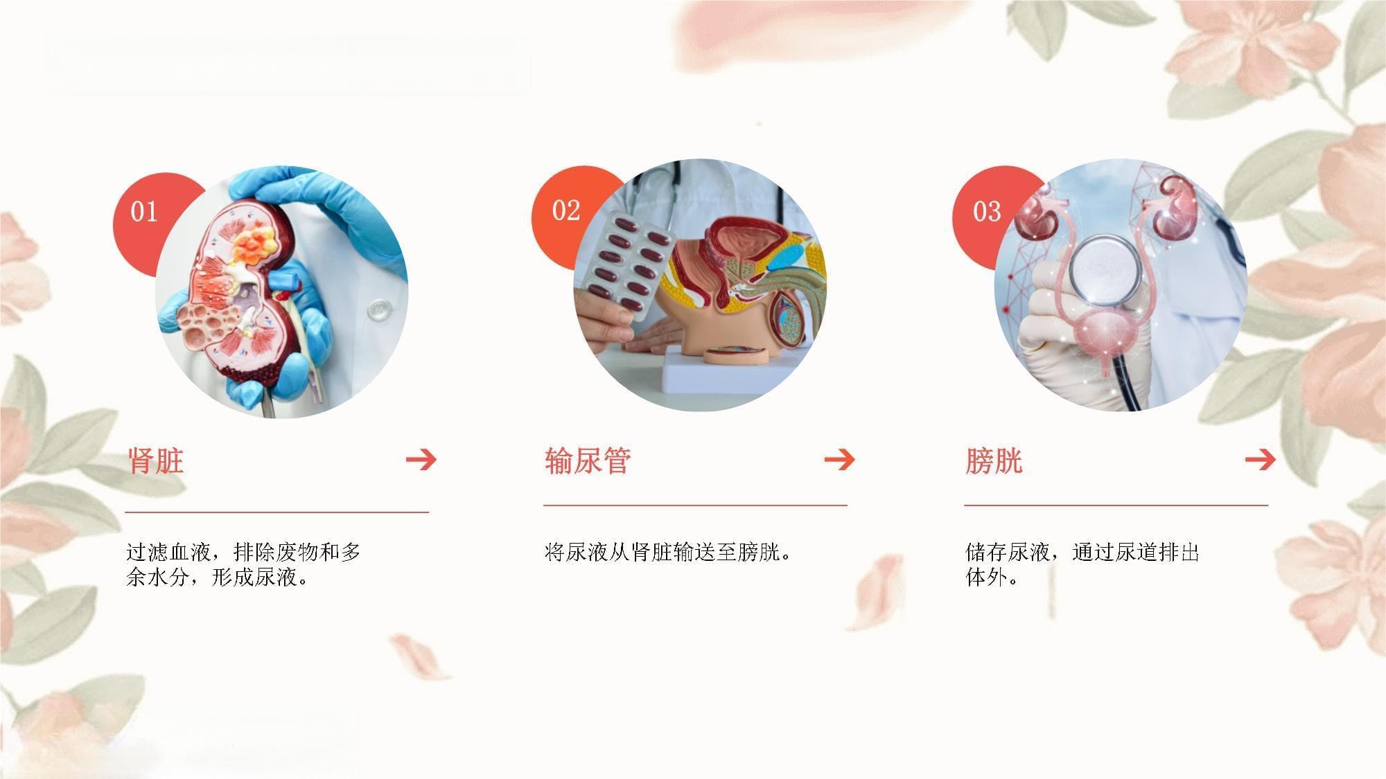 药物在泌尿系统疾病治疗中的应用与效果评估