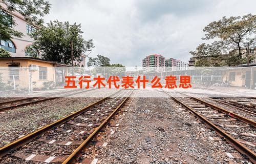 五行中的木代表什么意思