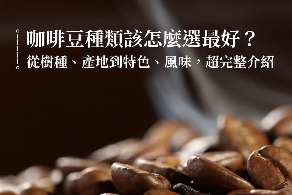 咖啡豆种类百百种，该如何选择？从树种、产地到特色、风味，超完整咖啡豆种类介绍
