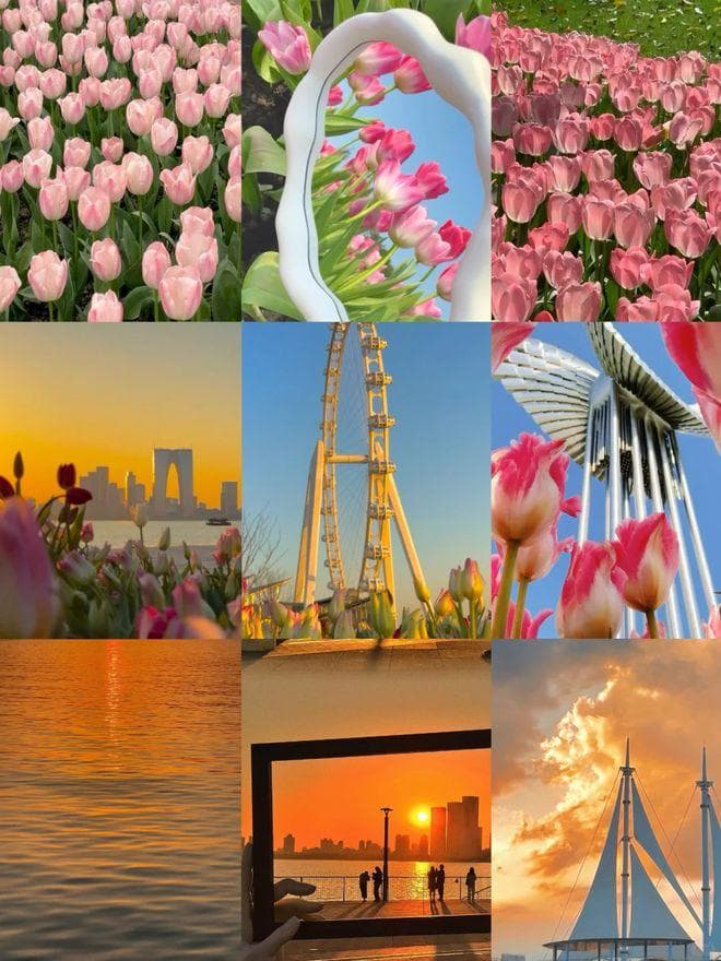 苏州四日游攻略：行程安排+游玩路线+门票信息