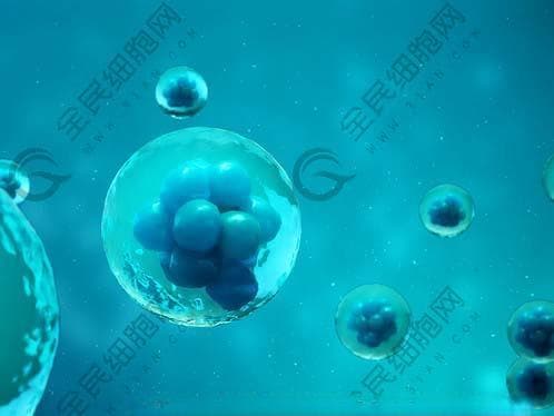 慢性浅表性胃炎忌食清单：辛辣、油腻等十类食物