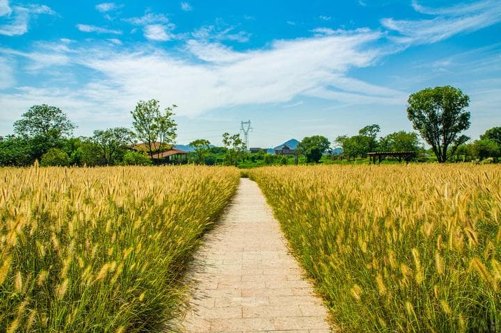 遇见余杭：从良渚到现代城市新中心的5000年文明传承