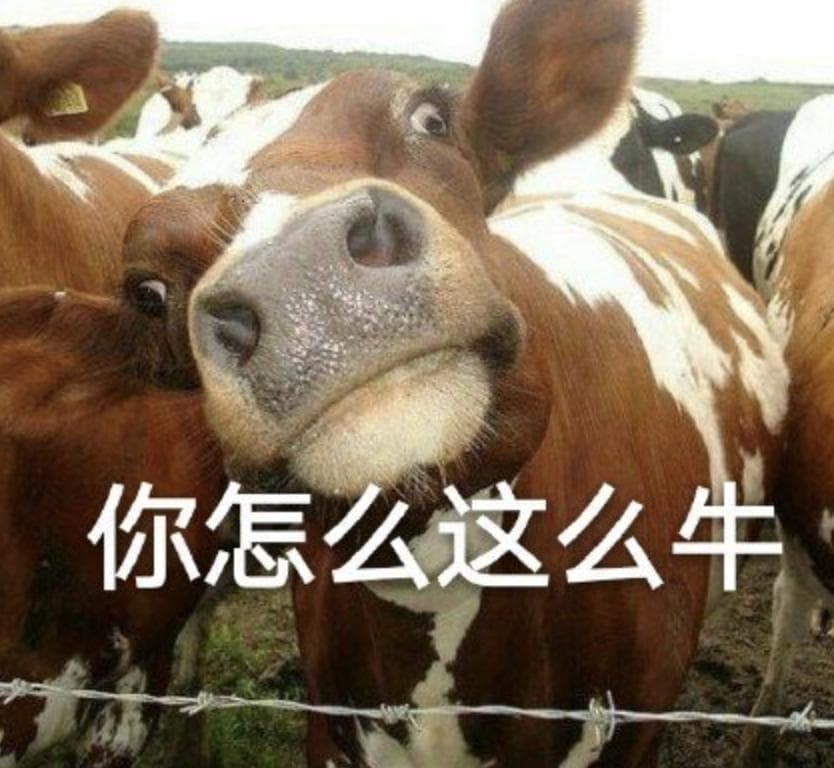 冷冻海鲜的最大优点，很多人都不知道（不是便宜）