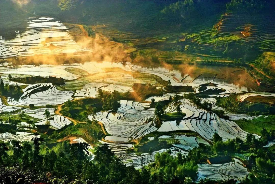 【地理考试】高中地理中的梯田，高考地理中的沼泽地