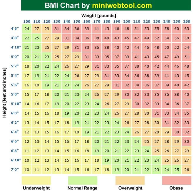 BMI计算器：如何计算你的体重指数