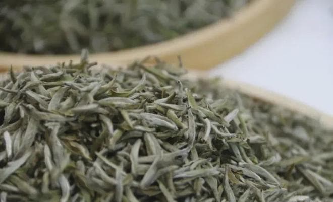 白茶四大产区，究竟有何不同？