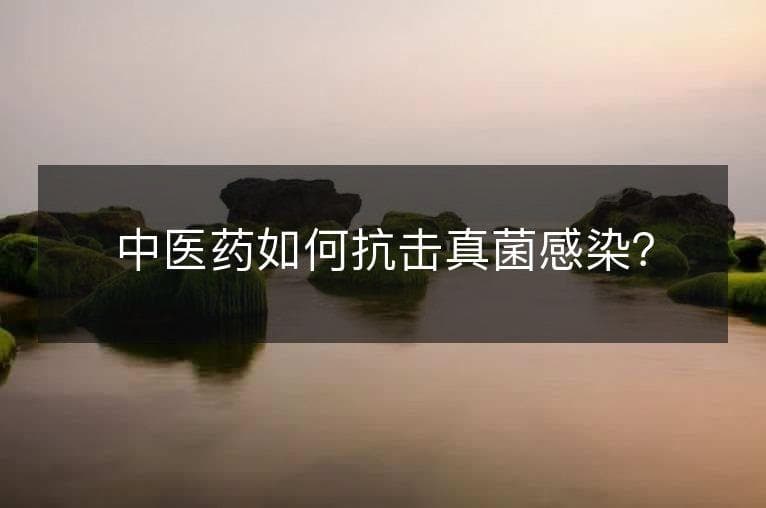 中医药如何抗击真菌感染？