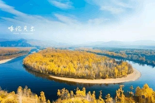 空气炸锅素菜新潮流，美味又健康！
