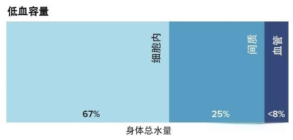 AAHA犬猫输液治疗指南：低血容量和脱水的纠正方法