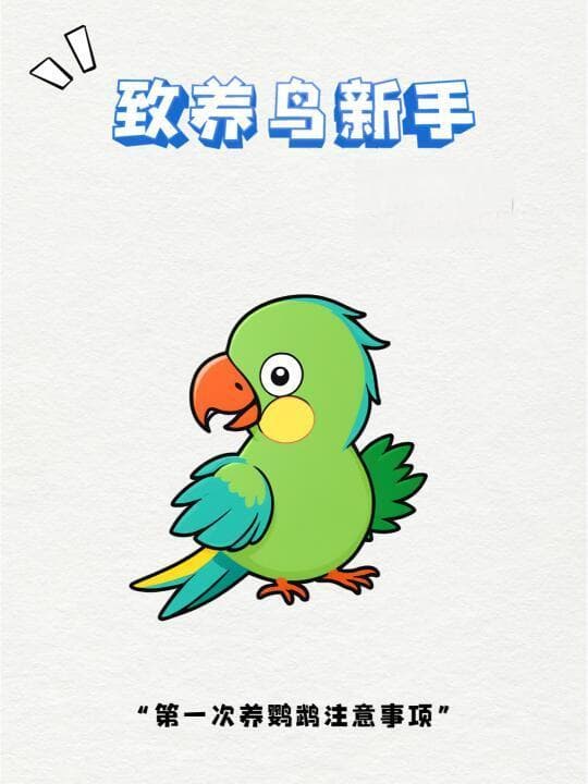 精选内容集|养鹦鹉的正确方式 如何避开那些常见误区