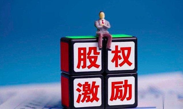 股权激励方案与合伙人制度：共创共享的成功之道