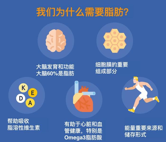 不吃三文鱼也能获得的Omega3来源