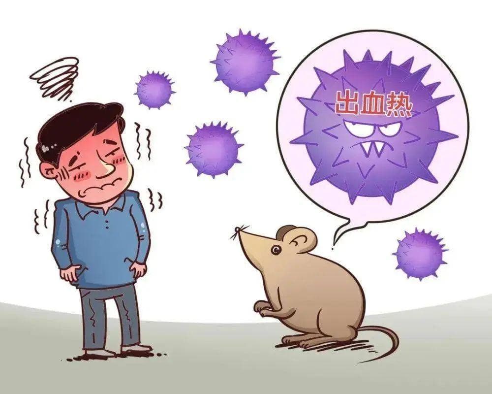 警惕！这种病通过老鼠传播，严重可致命