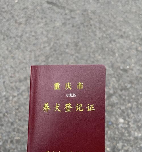 宠物狗证如何办理（从初次申请到续期）