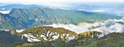 大瑶山生物多样性保护成效显著