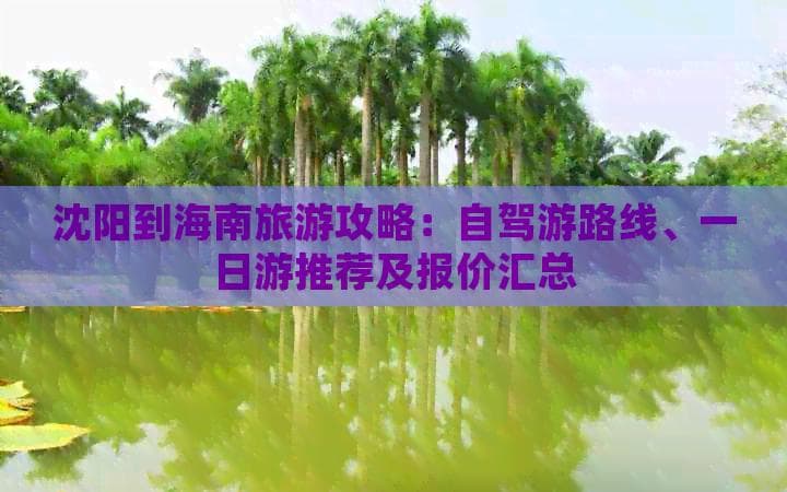 沈阳到海南旅游：三种交通方式所需时间及行程建议