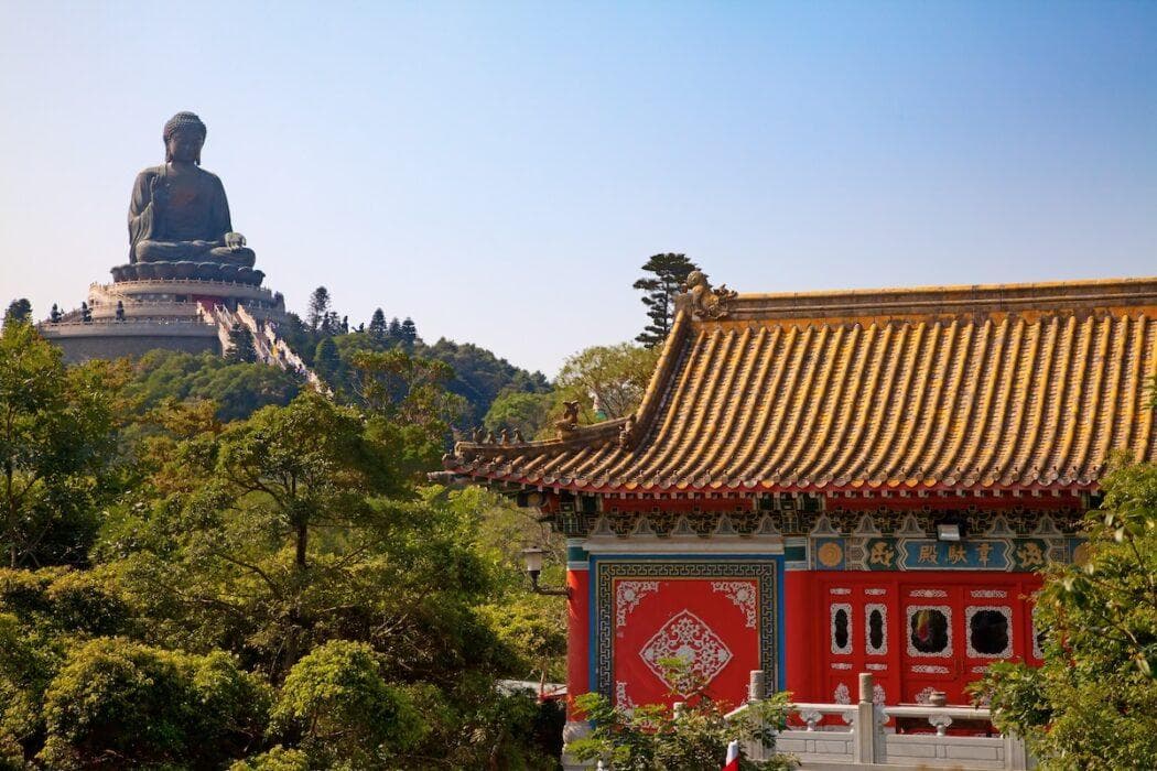 像当地人一样购物：在香港市场买什么