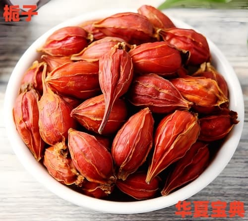 栀子：清热泻火的中药瑰宝