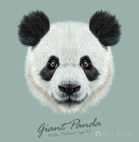 大熊猫怎么描述？萌物肖像的N种打开方式!