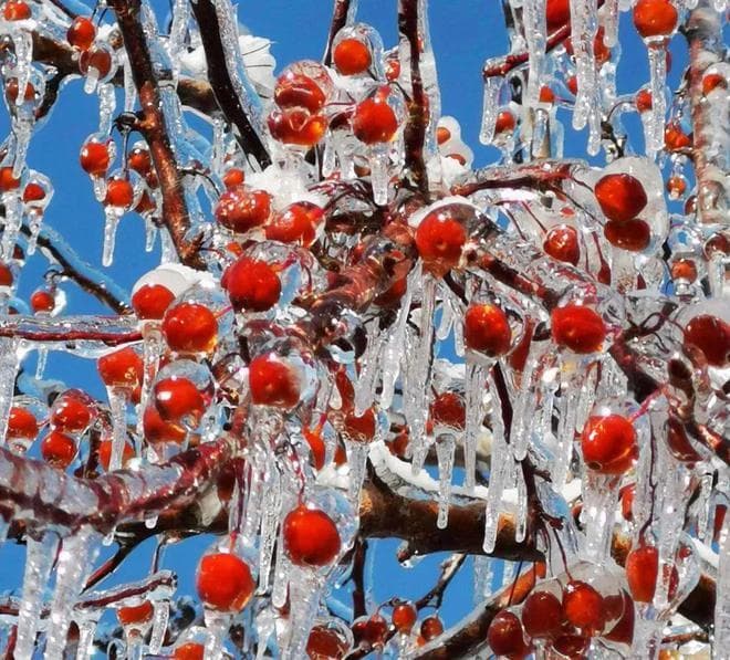 【露点地理】雨、冻雨、雪 、霰、雹、露、霜、雾、霾 是什么？