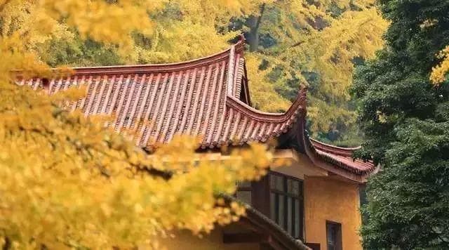 10个经典成语，智慧尽在字里行间