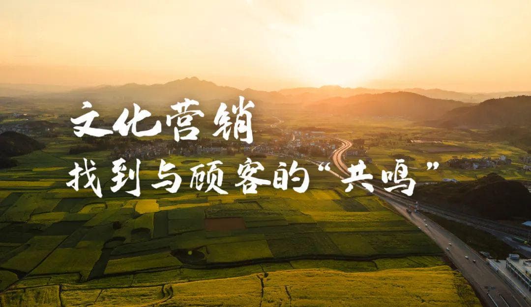 陈春花：文化营销的本质，找到与顾客的“共鸣”