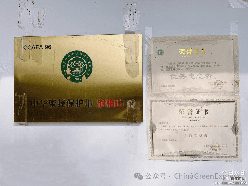 优质中华蜂蜜因何遭遇双重困境？淮河源项目组专访中华蜜蜂保护地·桐柏山