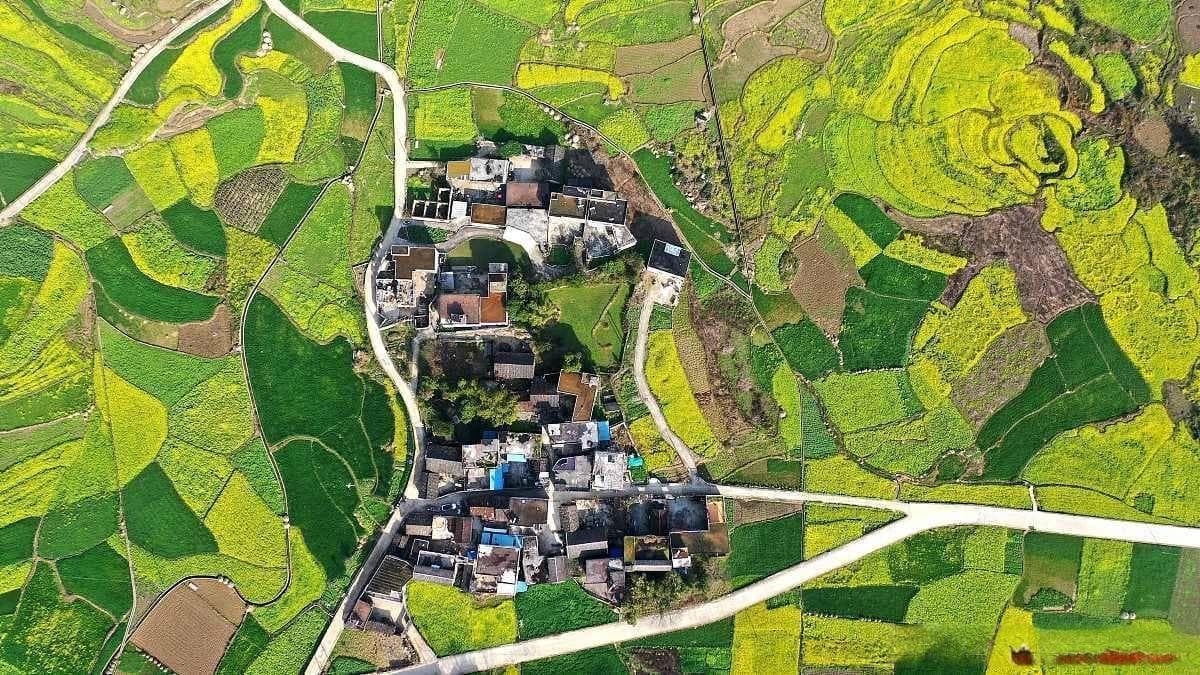 “乡村振兴新路径：古村落保护性开发与多元产业发展”