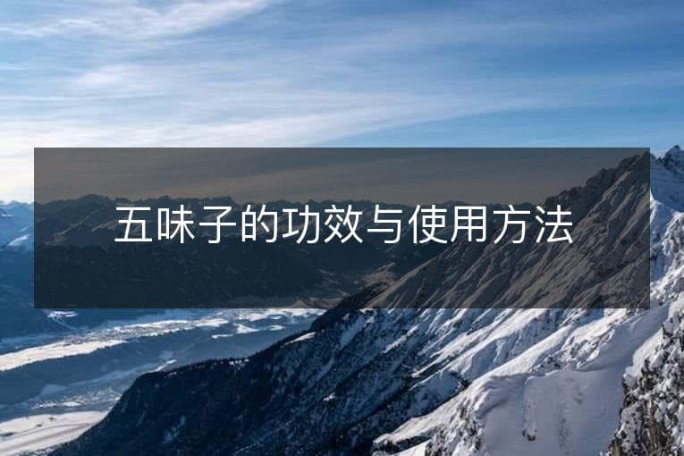 五味子的功效与使用方法